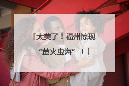 太美了！福州惊现“萤火虫海”！