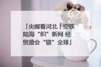 央媒看河北丨空铁陆海“织”新网 经贸盛会“链”全球