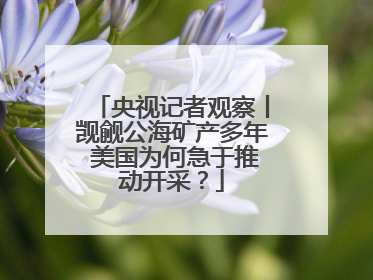 央视记者观察丨觊觎公海矿产多年 美国为何急于推动开采？