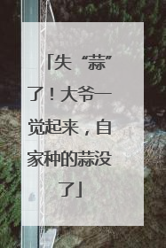 失“蒜”了！大爷一觉起来，自家种的蒜没了