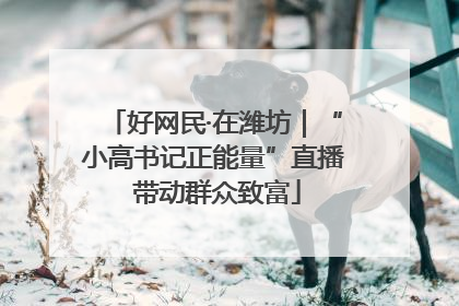 好网民·在潍坊｜“小高书记正能量”直播 带动群众致富
