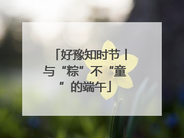 好豫知时节丨与“粽”不“童”的端午