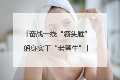 奋战一线“领头雁” 躬身实干“老黄牛”