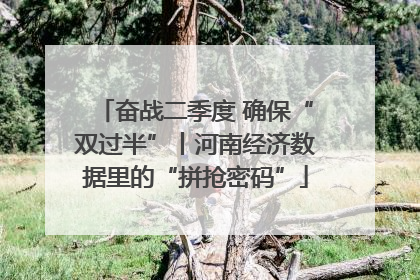 奋战二季度 确保“双过半”丨河南经济数据里的“拼抢密码”
