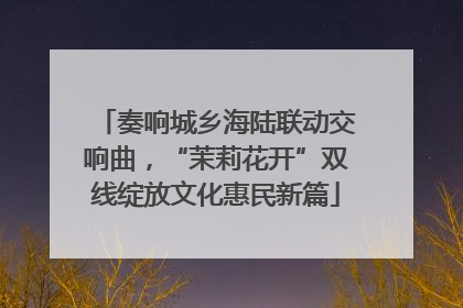 奏响城乡海陆联动交响曲，“茉莉花开”双线绽放文化惠民新篇