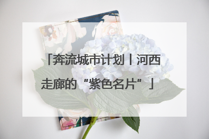 奔流城市计划丨河西走廊的“紫色名片”