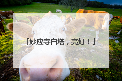 妙应寺白塔，亮灯！