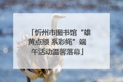 忻州市图书馆“雄黄点额 系彩绳”端午活动温馨落幕
