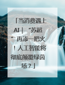 当消费遇上AI｜“苏超”再添一把火！人工智能将彻底颠覆绿茵场？