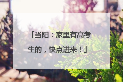 当阳：家里有高考生的，快点进来！