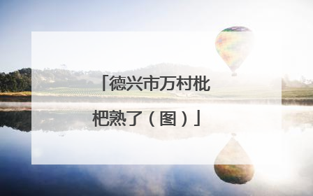 德兴市万村枇杷熟了（图）