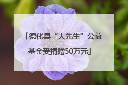 德化县“大先生”公益基金受捐赠50万元