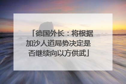德国外长：将根据加沙人道局势决定是否继续向以方供武