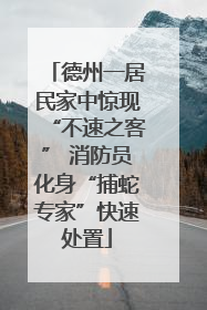 德州一居民家中惊现“不速之客” 消防员化身“捕蛇专家”快速处置