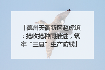 德州天衢新区赵虎镇：抢收抢种同推进，筑牢“三夏”生产防线