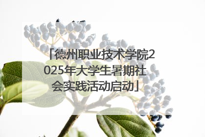 德州职业技术学院2025年大学生暑期社会实践活动启动