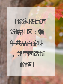 徐家楼街道新峪社区：端午共品百家味，邻里同话新峪情