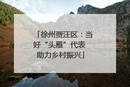 徐州贾汪区：当好“头雁”代表 助力乡村振兴