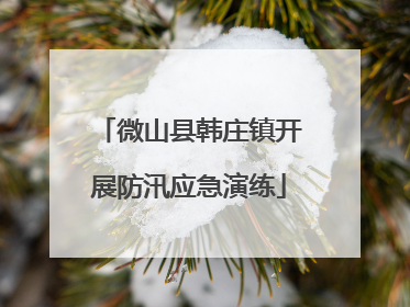 微山县韩庄镇开展防汛应急演练