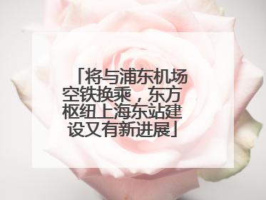 将与浦东机场空铁换乘，东方枢纽上海东站建设又有新进展