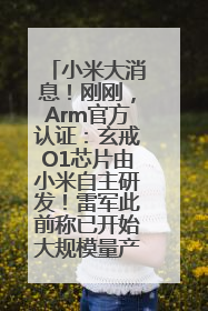小米大消息！刚刚，Arm官方认证：玄戒O1芯片由小米自主研发！雷军此前称已开始大规模量产