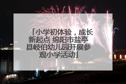 小学初体验，成长新起点 绵阳市盐亭县岐伯幼儿园开展参观小学活动