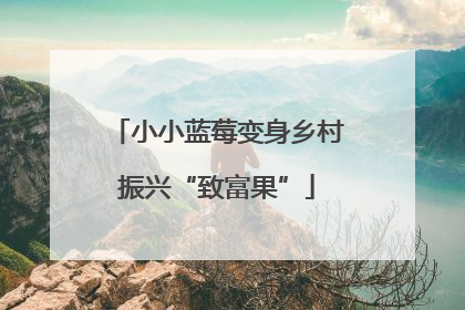 小小蓝莓变身乡村振兴“致富果”