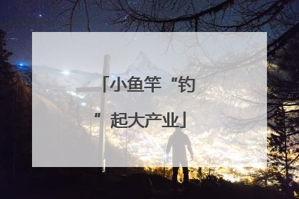 小鱼竿“钓”起大产业