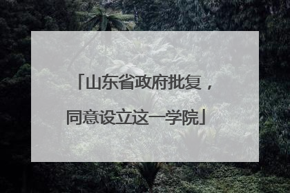 山东省政府批复，同意设立这一学院