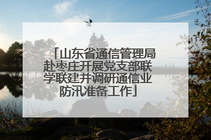 山东省通信管理局赴枣庄开展党支部联学联建并调研通信业防汛准备工作