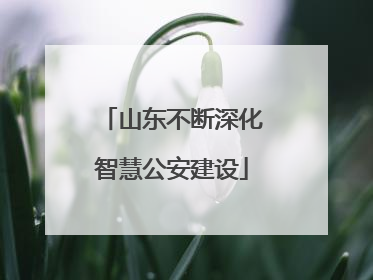 山东不断深化智慧公安建设