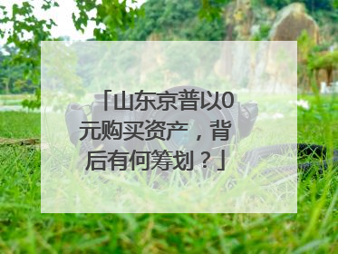 山东京普以0元购买资产，背后有何筹划？