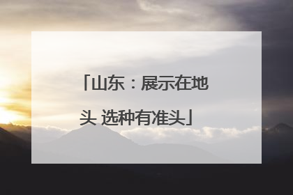 山东：展示在地头 选种有准头