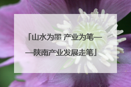 山水为墨 产业为笔——陕南产业发展走笔