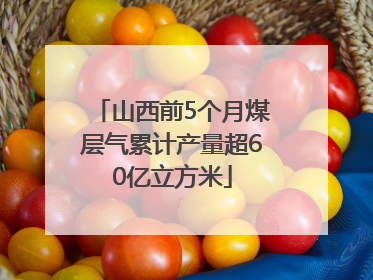 山西前5个月煤层气累计产量超60亿立方米