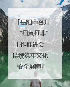 岳阳市召开“扫黄打非”工作推进会 持续筑牢文化安全屏障