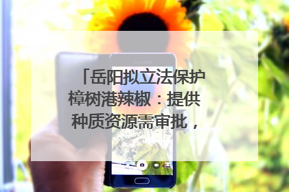 岳阳拟立法保护樟树港辣椒：提供种质资源需审批，违规最高罚5万