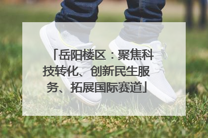 岳阳楼区：聚焦科技转化、创新民生服务、拓展国际赛道