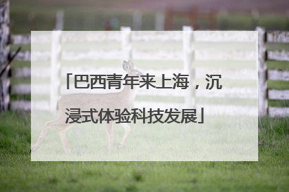 巴西青年来上海，沉浸式体验科技发展