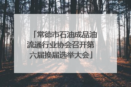 常德市石油成品油流通行业协会召开第六届换届选举大会