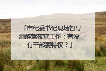 市纪委书记现场督导酒醉驾夜查工作：有没有干部耍特权？