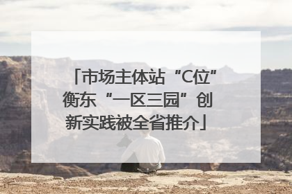 市场主体站“C位” 衡东“一区三园”创新实践被全省推介