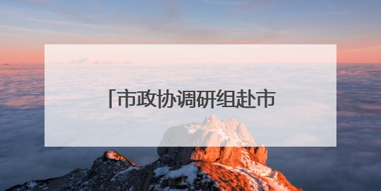 市政协调研组赴市大数据中心调研