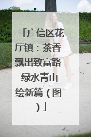 广信区花厅镇：茶香飘出致富路 绿水青山绘新篇（图）