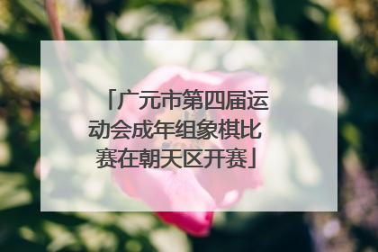 广元市第四届运动会成年组象棋比赛在朝天区开赛