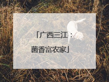 广西三江：菌香富农家