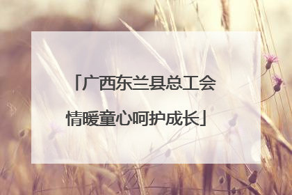 广西东兰县总工会情暖童心呵护成长