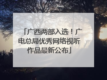 广西两部入选！广电总局优秀网络视听作品最新公布
