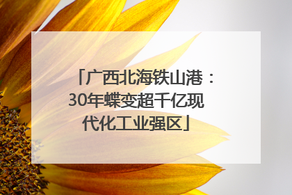 广西北海铁山港：30年蝶变超千亿现代化工业强区