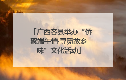 广西容县举办“侨聚端午情·寻觅故乡味”文化活动